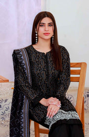 Abtextiles - Meerub Ikat Wrinkle Free Collection'25 By Ab Textiles Embroidered Lawn Suit Unstitched 3 Piece - Summer Collection - aubranz.com