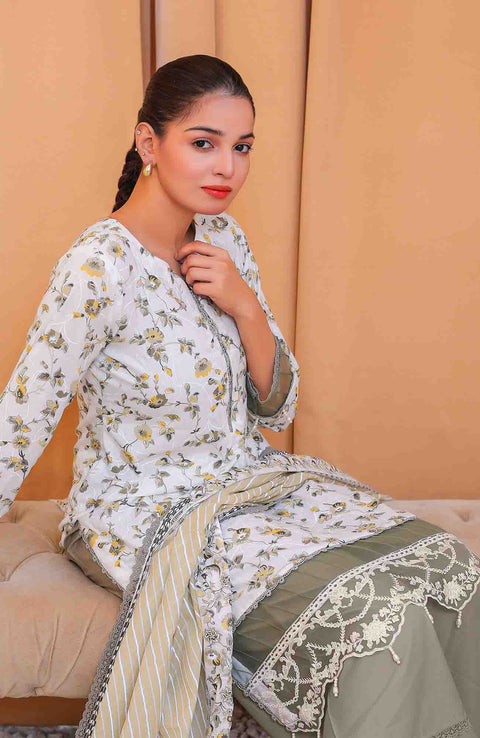 Abtextiles - Meerub Ikat Vol 2 Wrinkle Free Collection'25 By Ab Textile Embroidered Lawn Suit Unstitched 3 Piece - Summer Collection - aubranz.com