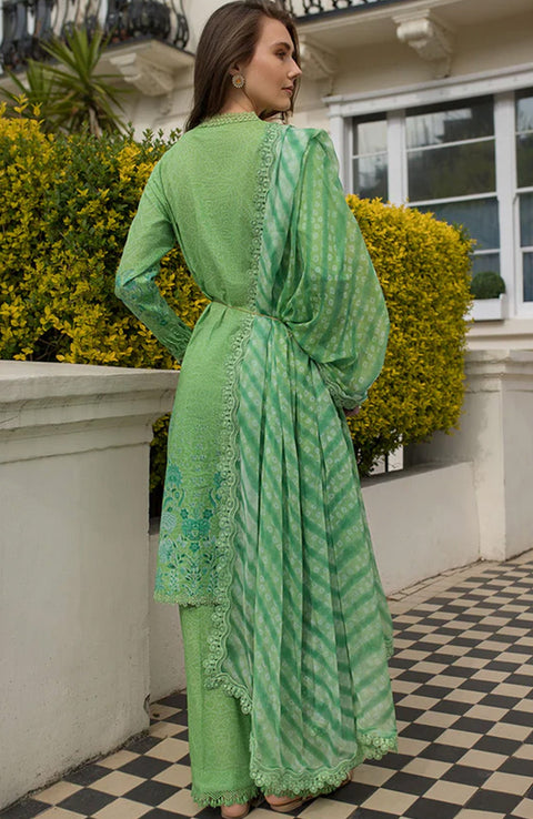 Sobia_Nazir - Sobia Nazir Basic Lawn'25 Printed Lawn Suits Unstitched 3 Piece - Summer Collection - aubranz.com