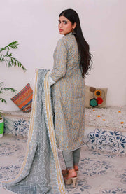 Abtextiles - Meerub Ikat Wrinkle Free Collection'25 By Ab Textiles Embroidered Lawn Suit Unstitched 3 Piece - Summer Collection - aubranz.com