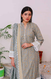Abtextiles - Meerub Ikat Wrinkle Free Collection'25 By Ab Textiles Embroidered Lawn Suit Unstitched 3 Piece - Summer Collection - aubranz.com