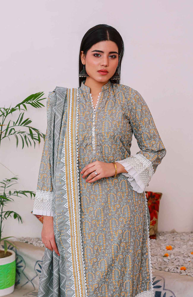 Abtextiles - Meerub Ikat Wrinkle Free Collection'25 By Ab Textiles Embroidered Lawn Suit Unstitched 3 Piece - Summer Collection - aubranz.com