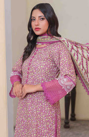 Abtextiles - Meerub Ikat Vol 2 Wrinkle Free Collection'25 By Ab Textile Embroidered Lawn Suit Unstitched 3 Piece - Summer Collection - aubranz.com