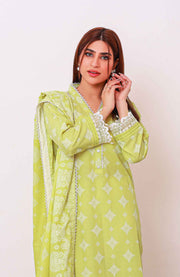 Abtextiles - Meerub Ikat Wrinkle Free Collection'25 By Ab Textiles Embroidered Lawn Suit Unstitched 3 Piece - Summer Collection - aubranz.com
