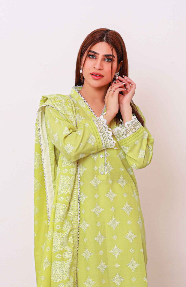 Abtextiles - Meerub Ikat Wrinkle Free Collection'25 By Ab Textiles Embroidered Lawn Suit Unstitched 3 Piece - Summer Collection - aubranz.com