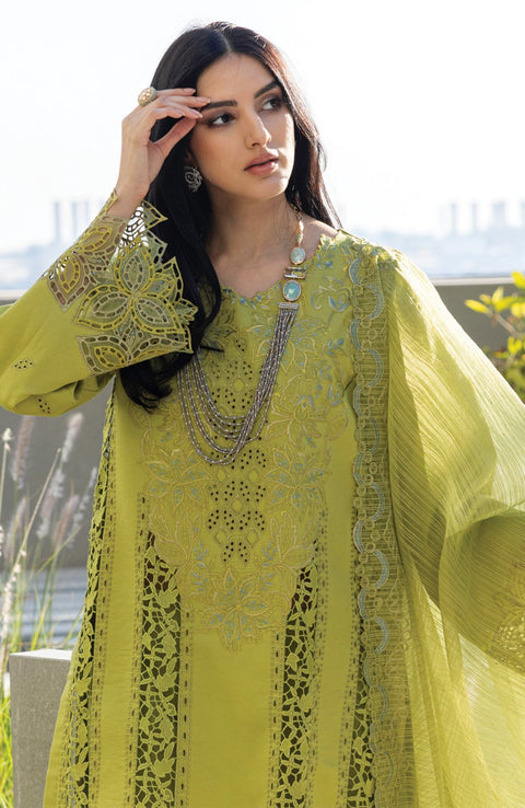 Rangrasiya - Carnation Lawn'25 By Rang Rasiya Embroidered Suits Unstitched 3 Piece - Summer Collection - aubranz.com