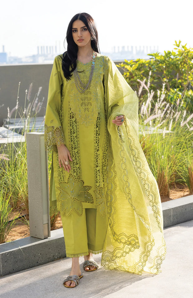SUMMER COLLECTIONS SKU#RR11 CARNATION LAWN'25 BY RANG RASIYA EMBROIDERED SUITS UNSTITCHED 3 PIECE -