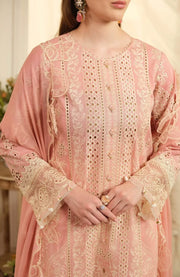 Aneela_Rizwan - Aneela Rizwan Yaqeen Luxury Lawn Collection'25 Embroidered Lawn Suits Unstitched 3 Piece - Summer Collection  - aubranz.com