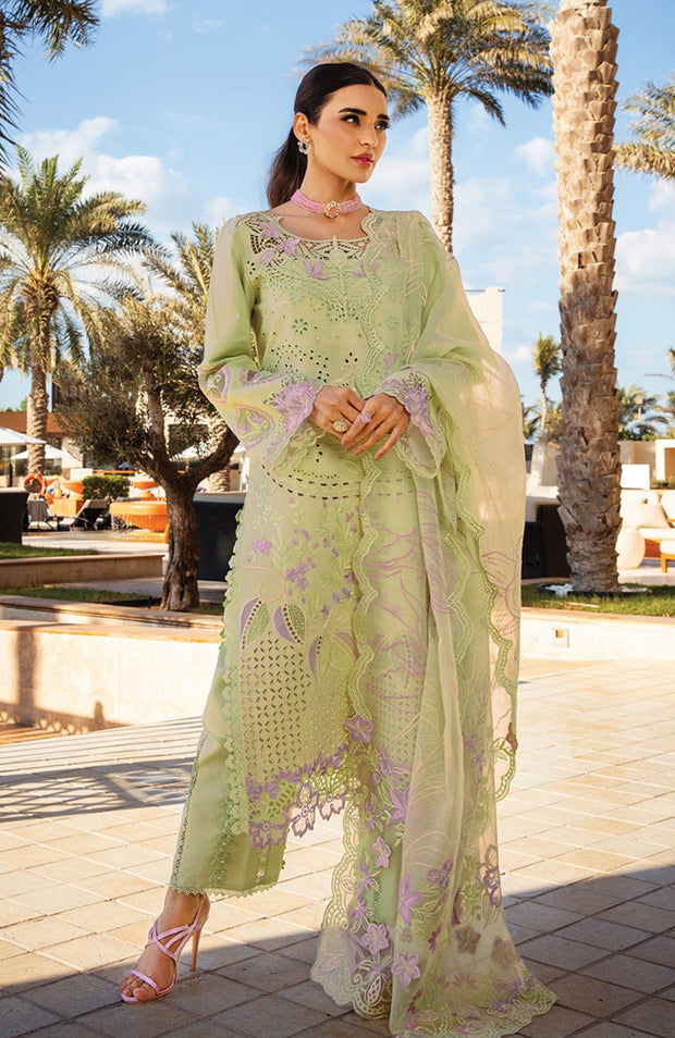 Rangrasiya - Rang Rasiya Premium Collection'25 Embroidered Lawn Suit Unstitched 3 Piece - Summer Collection - aubranz.com