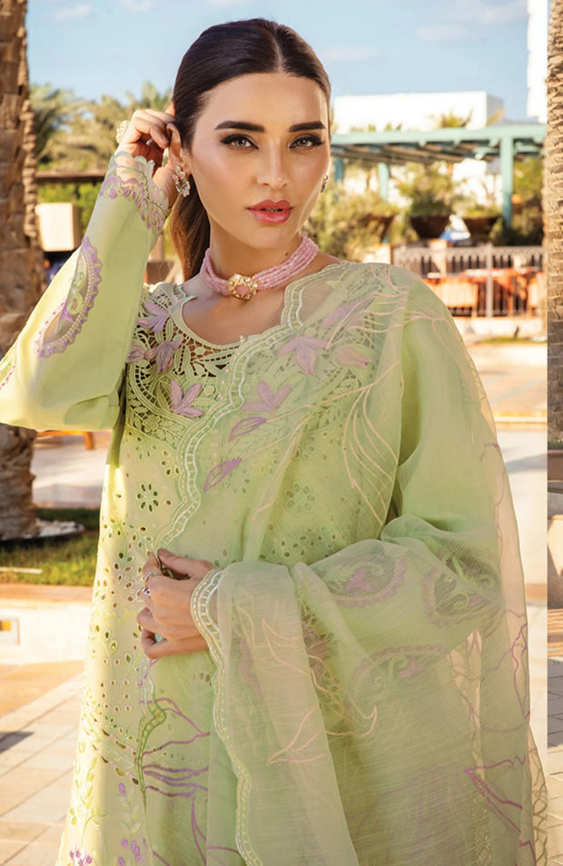 SKU#RR16 RANG RASIYA PREMIUM COLLECTION'25 EMBROIDERED LAWN SUIT UNSTITCHED 3 PIECE - SUMMER COLLECTION