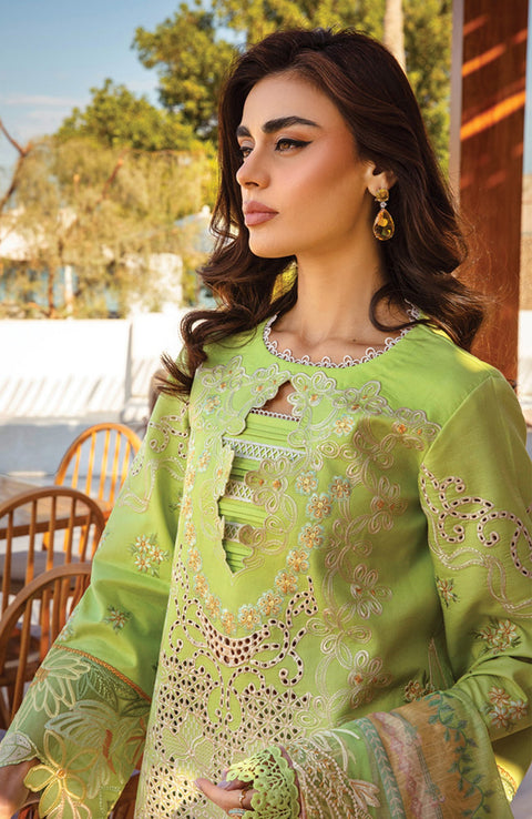 Rangrasiya - Rang Rasiya Premium Collection'25 Embroidered Lawn Suit Unstitched 3 Piece - Summer Collection - aubranz.com