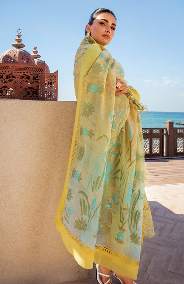 Rangrasiya - Rang Rasiya Premium Collection'25 Embroidered Lawn Suit Unstitched 3 Piece - Summer Collection - aubranz.com