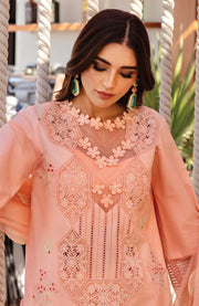 Rangrasiya - Rang Rasiya Premium Collection'25 Embroidered Lawn Suit Unstitched 3 Piece - Summer Collection - aubranz.com
