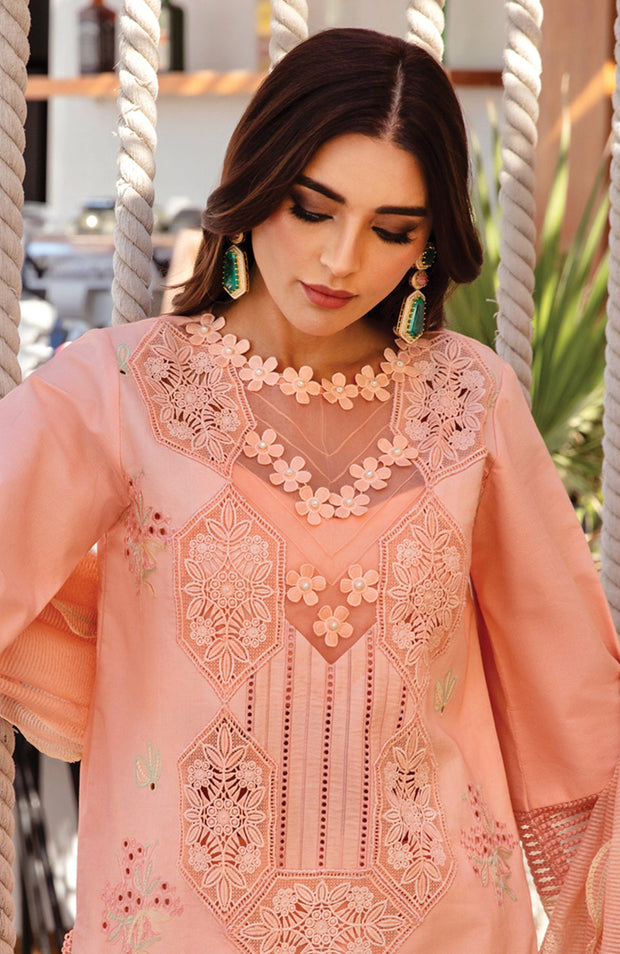 Rangrasiya - Rang Rasiya Premium Collection'25 Embroidered Lawn Suit Unstitched 3 Piece - Summer Collection - aubranz.com
