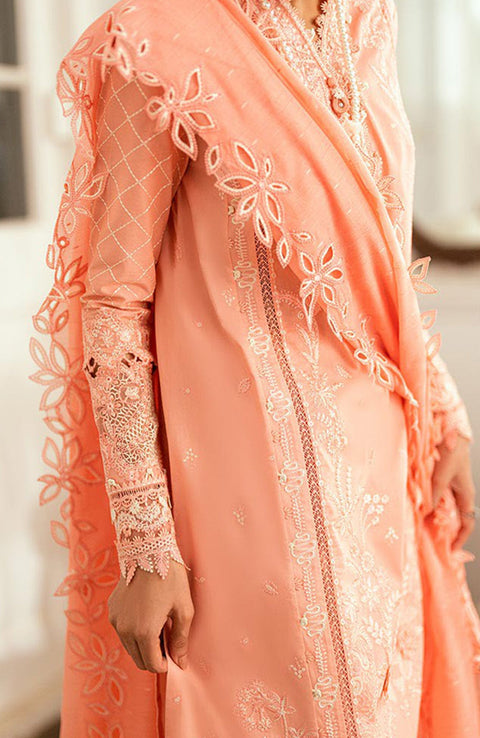 Qalamkar - Luxury Lawn Eid Edit'25 By Qalamkar Embroidered Suits Unstitched 3 Piece - Summer Collection - aubranz.com