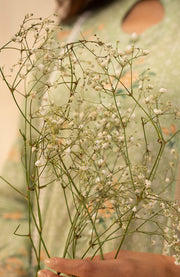 Zellbury - Zellbury unstitched lawn'25 Printed Suits Unstitched 3 Piece - Summer Collection - aubranz.com