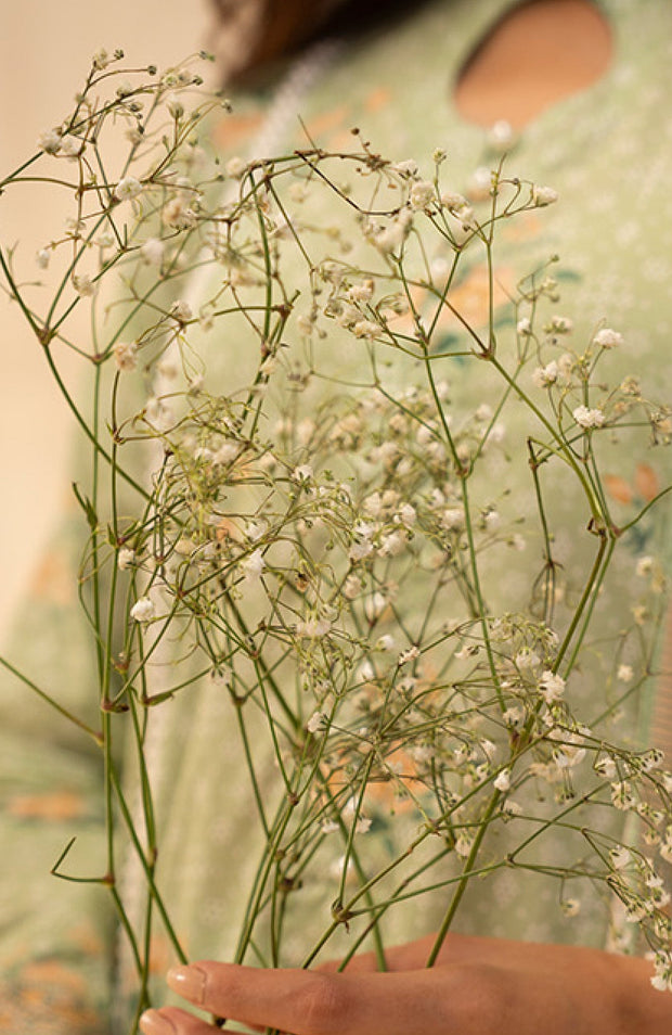 Zellbury - Zellbury unstitched lawn'25 Printed Suits Unstitched 3 Piece - Summer Collection - aubranz.com