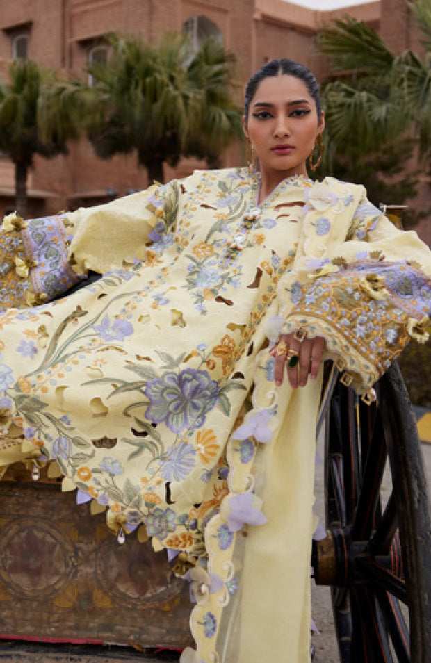 Elan - Elan Lawn'25 Embroidered Lawn Suits Unstitched 3 Piece - Summer Collection - aubranz.com
