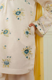 Zara_Shahjahan - Coco Lawn'25 By Zara Shahjahan Embroidered Suits Unstitched 3 Piece - Summer Collection - aubranz.com