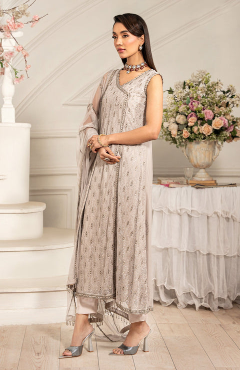 Zarif - Zarif Formal Edit'25 Embroidered Net Suits Unstitched 3 Piece - Formal Collection - aubranz.com