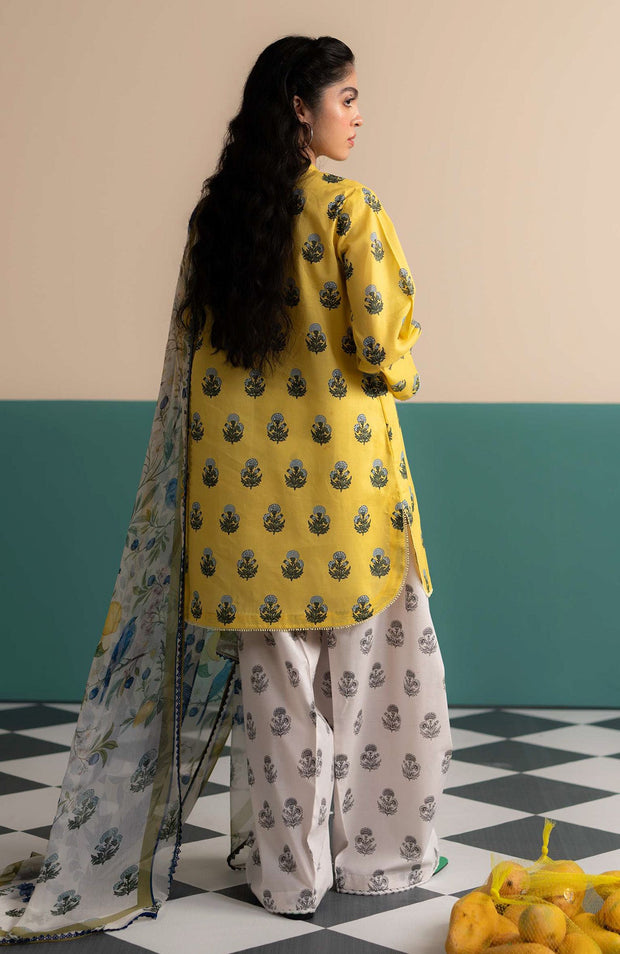 Zara_Shahjahan - Coco Prints'25 Vol-3 by Zara Shahjahan Printed Lawn Suits Unstitched 3 Piece - Summer Collection - aubranz.com