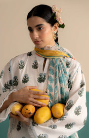 Zara_Shahjahan - Coco Prints'25 Vol-3 by Zara Shahjahan Printed Lawn Suits Unstitched 3 Piece - Summer Collection - aubranz.com