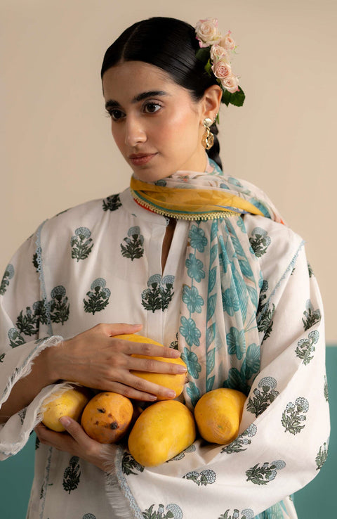 Zara_Shahjahan - Coco Prints'25 Vol-3 by Zara Shahjahan Printed Lawn Suits Unstitched 3 Piece - Summer Collection - aubranz.com