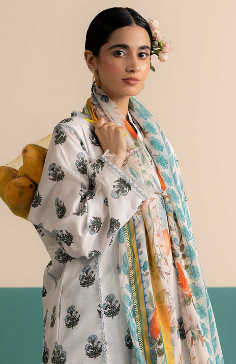 Zara_Shahjahan - Coco Prints'25 Vol-3 by Zara Shahjahan Printed Lawn Suits Unstitched 3 Piece - Summer Collection - aubranz.com